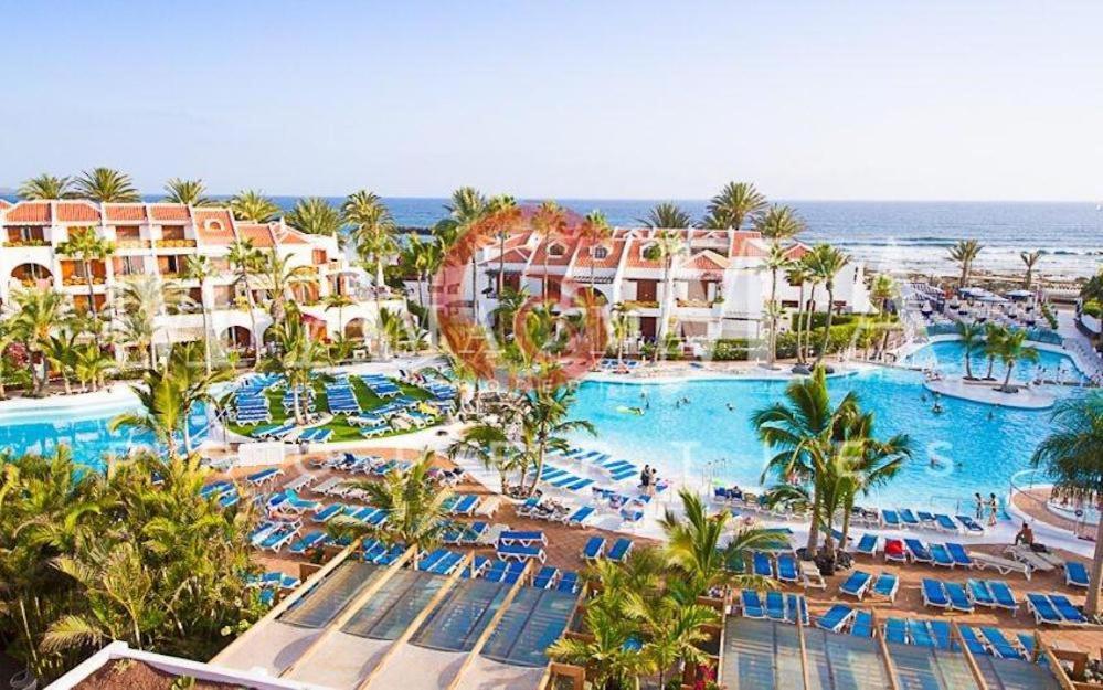 3 Santiago Playa Tenerife Estudio Playa de las Américas Dış mekan fotoğraf
